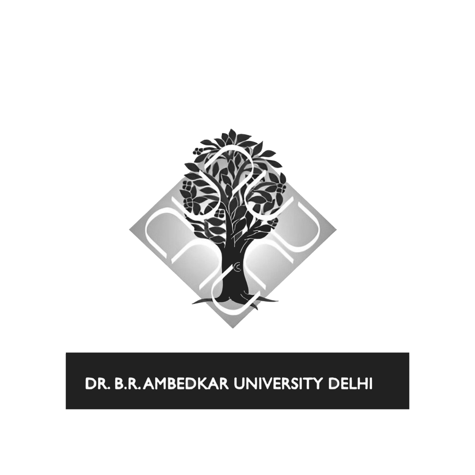 ambedkar uni