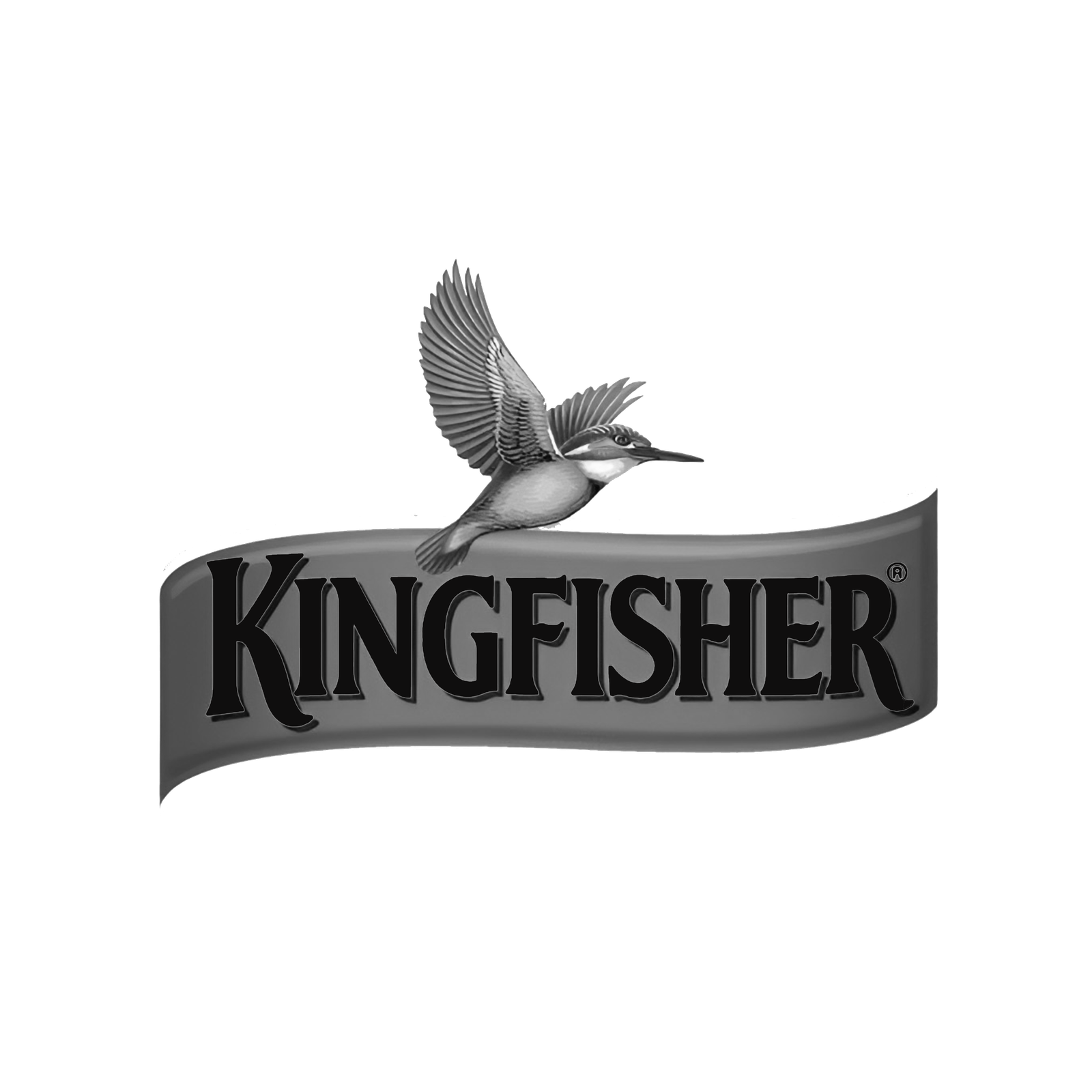 kingfisher